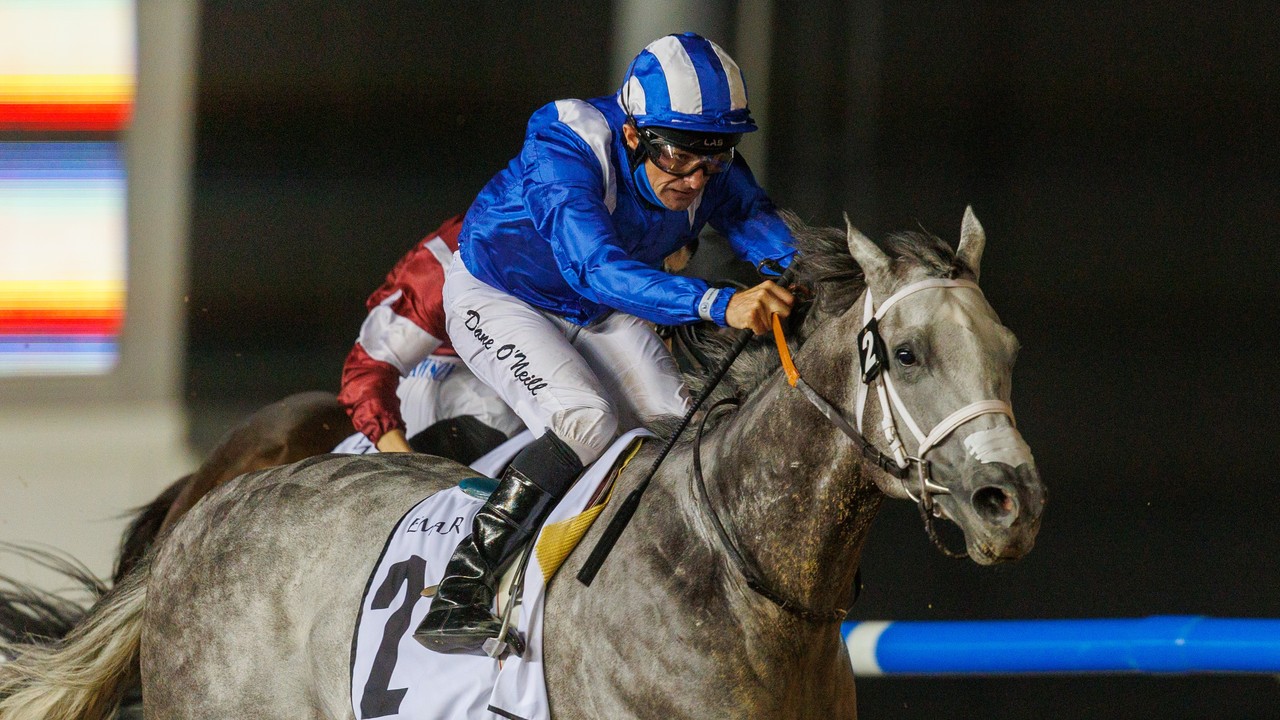 Doug Watson On Saddling Five For World Cup Night And Other ... Image 1