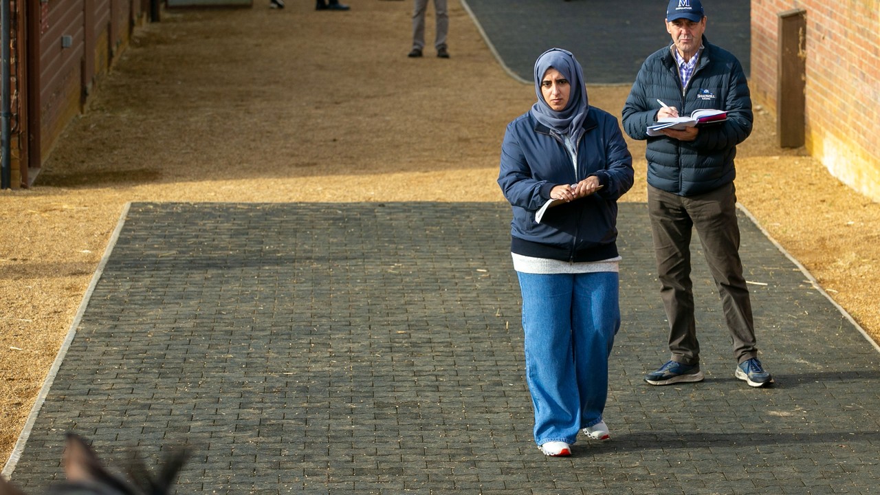 Sheikha Hissa And Angus Gold At Tattersalls October Yearling Sale Book 1 2022 - Viewing (Tattersalls)