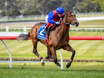 Preview: Zaaki Looks To Be In Top Form For Gr.1 Doomben Cup Image 1