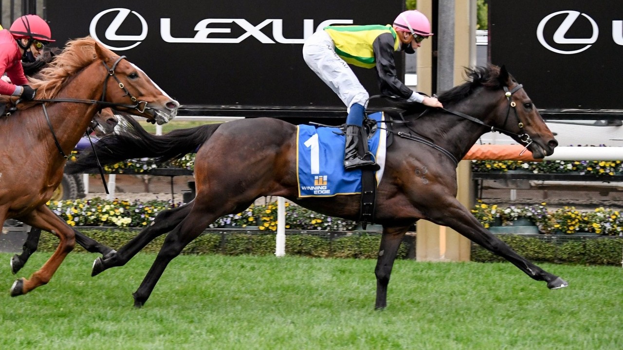 Preview: Zaaki Looks To Be In Top Form For Gr.1 Doomben Cup Image 2
