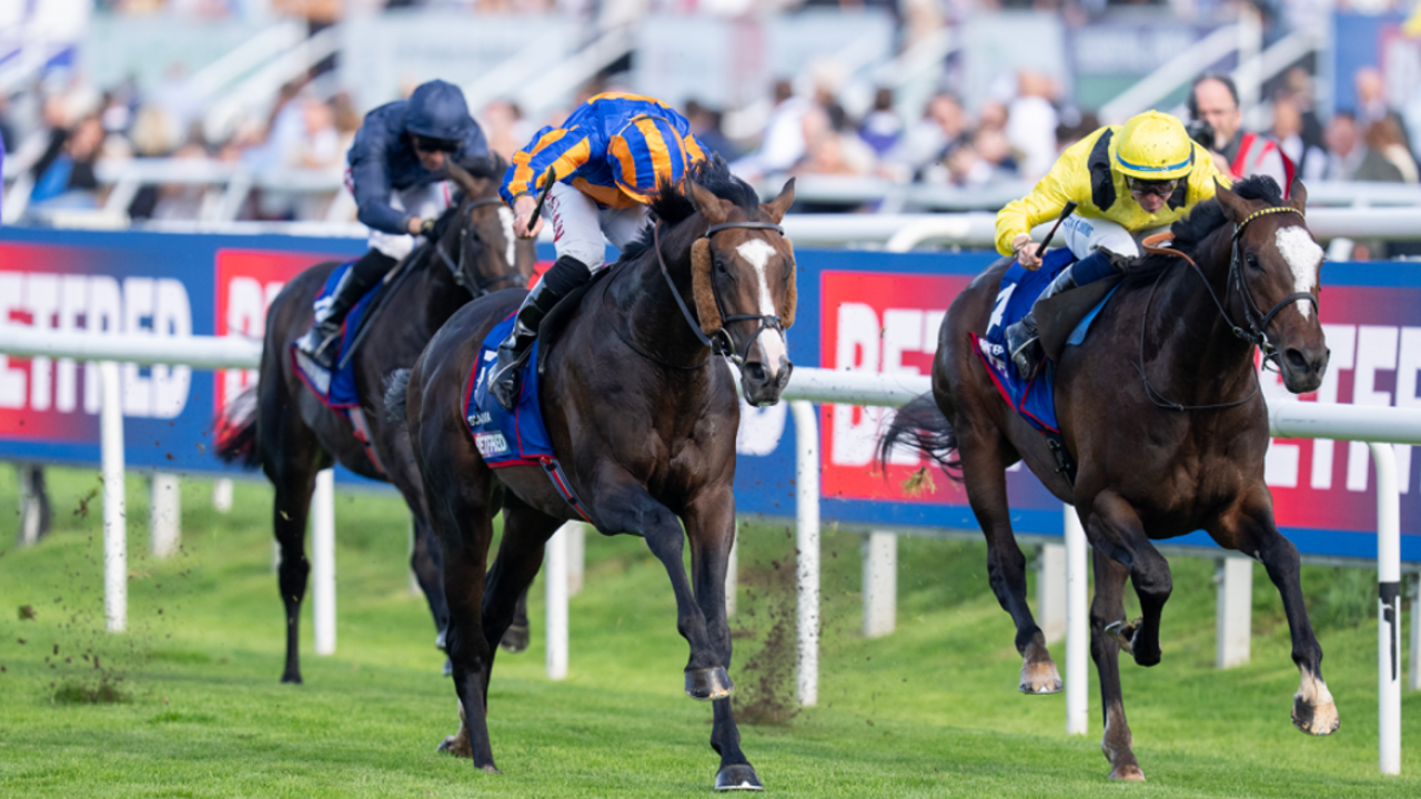 Scandinavia (3c Justify x Fabulous, by Galileo) won the Group I St Leger at Doncaster in 2025