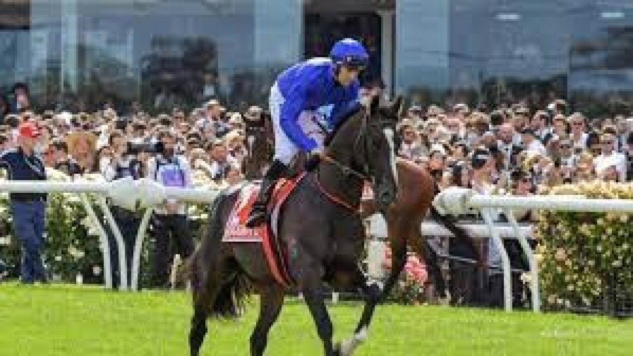 Saint Tropez Likely To Continue Career On Australian Shores Image 4