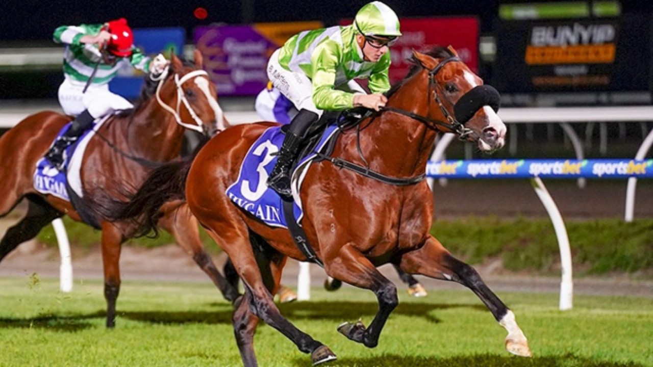 Saint Tropez Likely To Continue Career On Australian Shores Image 1