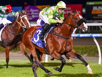 Saint Tropez Likely To Continue Career On Australian Shores Image 1