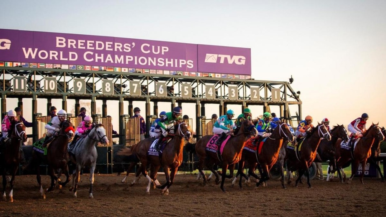Breeders' Cup Launches Dirt Incentive Program Image 3