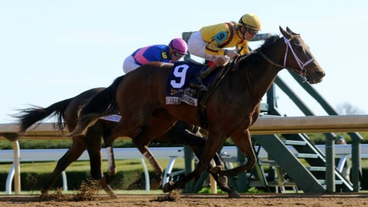 Breeders' Cup Launches Dirt Incentive Program Image 2