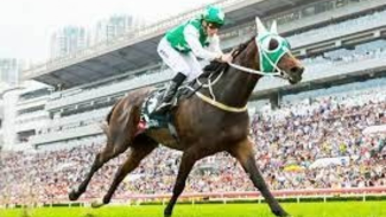 Pakistan Star Settling In Well At Living Legends Image 1