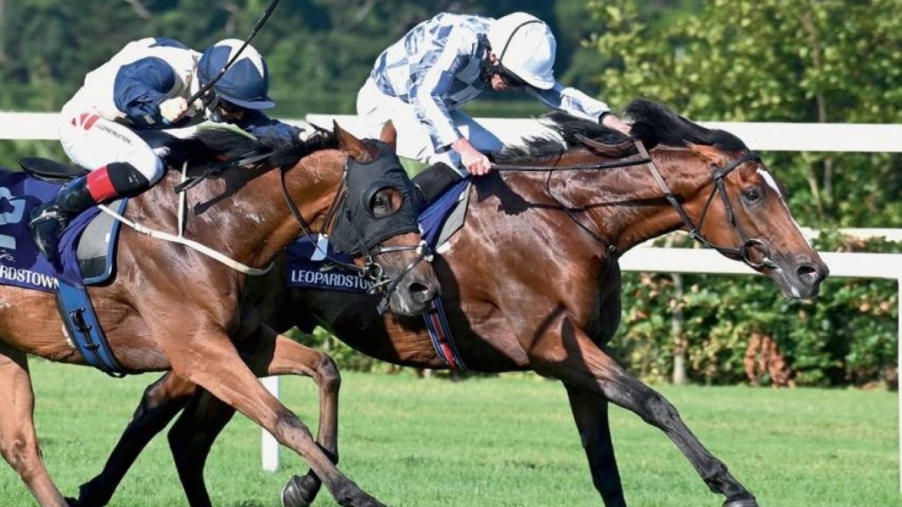 Wiliam Muir Hopes To Defend Coronation Cup Title With ... Image 2