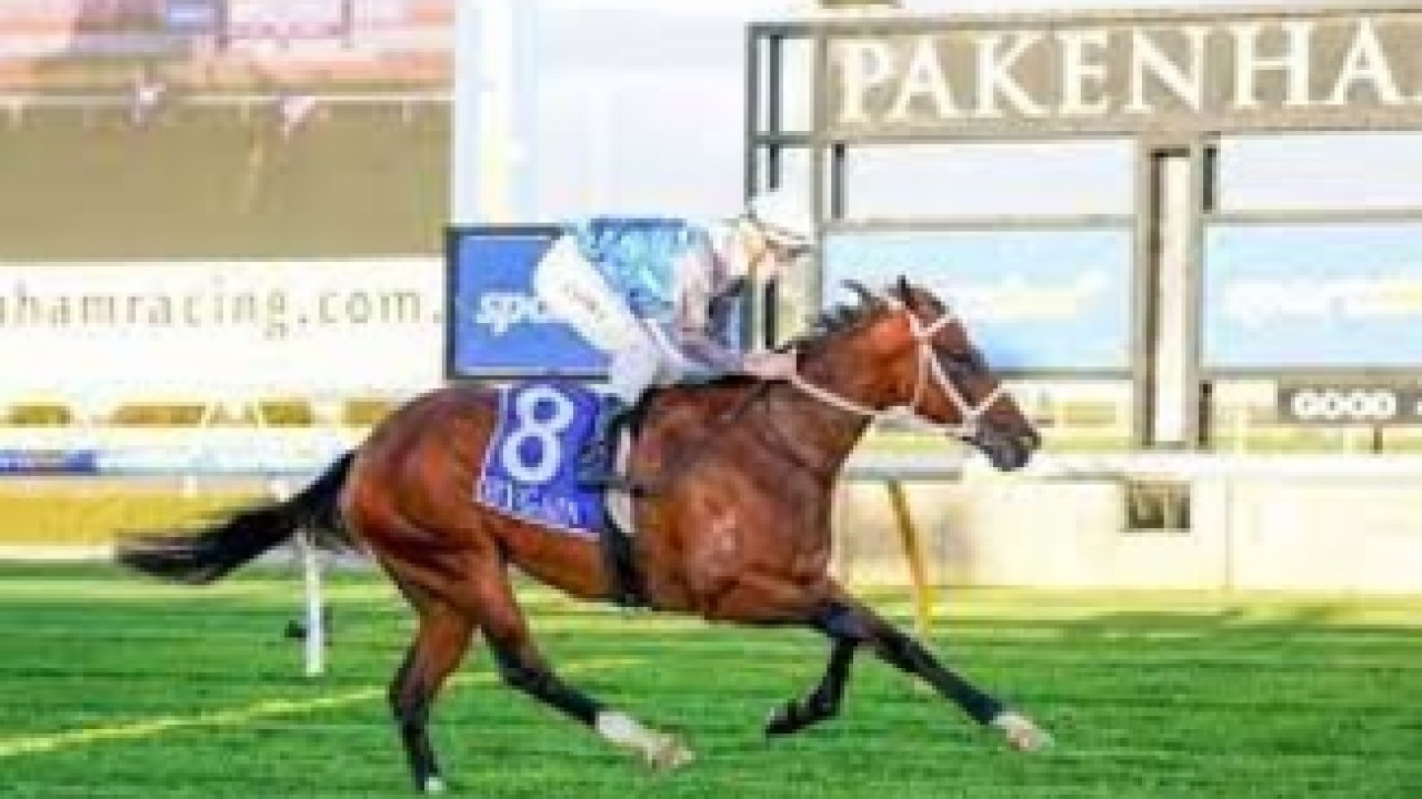Trainers Busuttin-Young See Glint Of Hope For Gr.1 Success Image 2