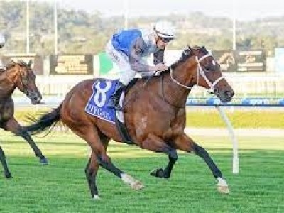 Trainers Busuttin-Young See Glint Of Hope For Gr.1 Success Image 1