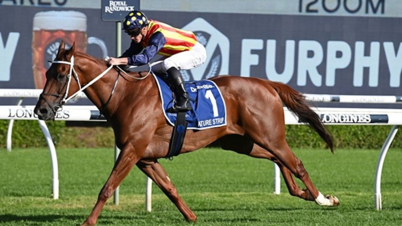 Preview: Gr.1 Kings Stand Stakes Image 1