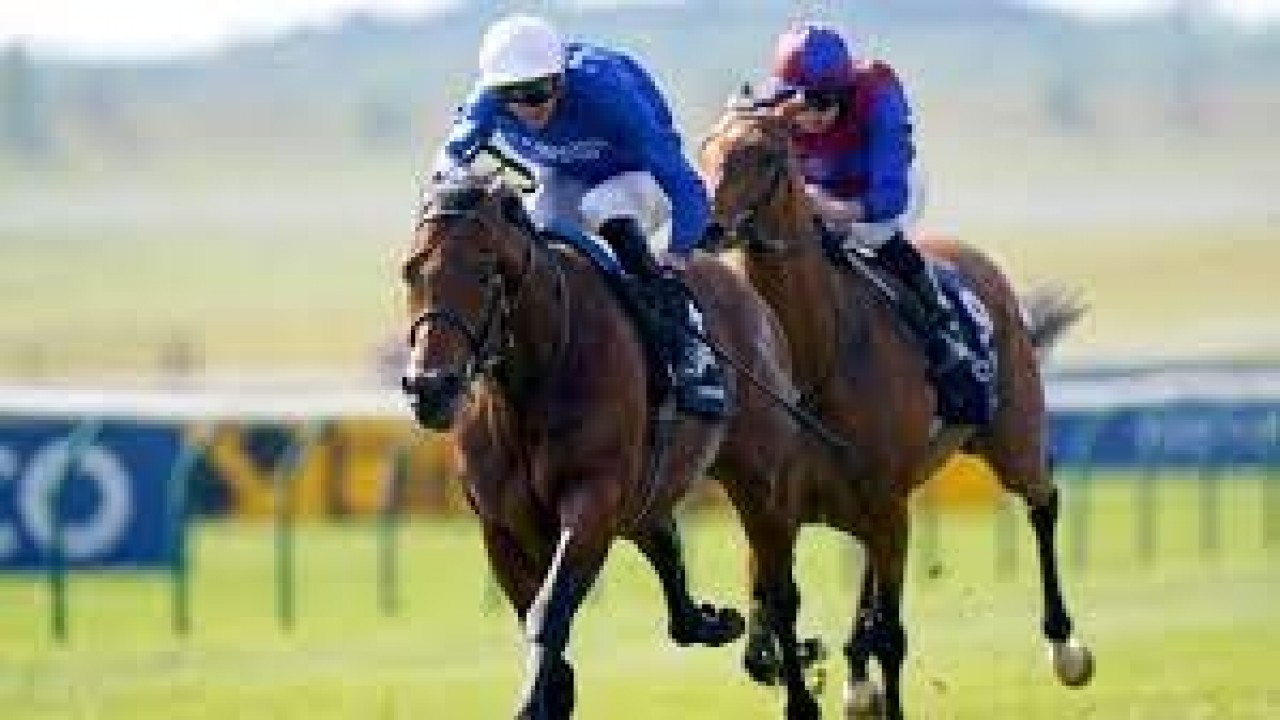 Preview: Gr.1 St James's Palace Stakes Image 1