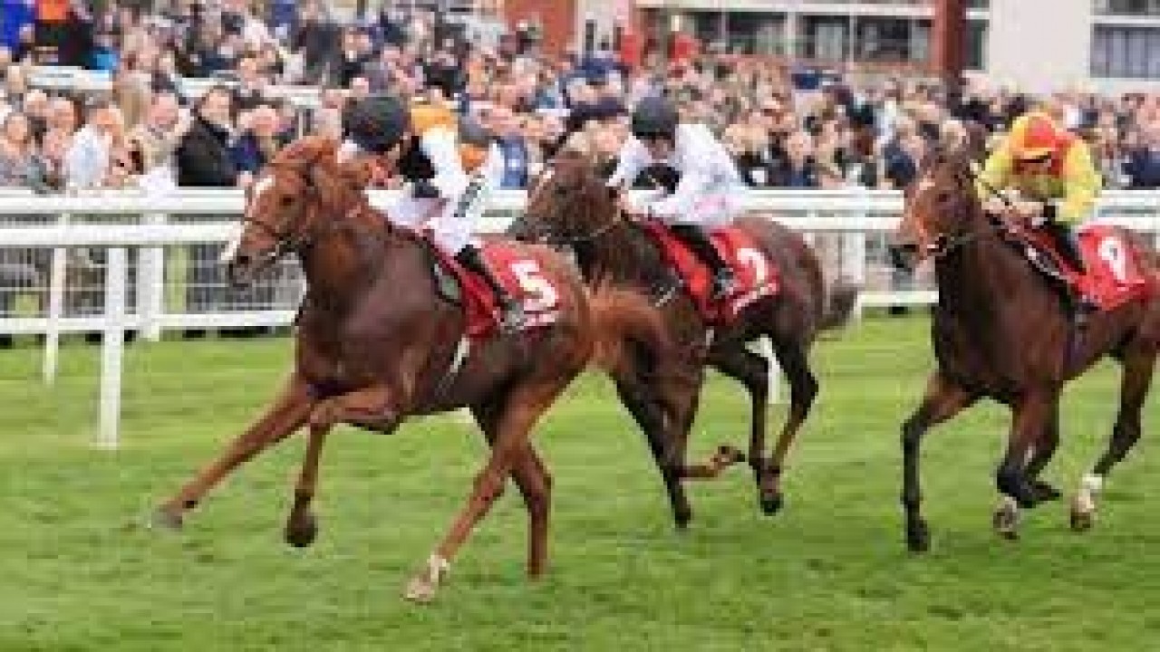 Preview: Gr.1 St James's Palace Stakes Image 3