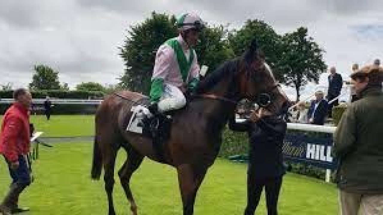 Preview: Gr.1 Coventry Stakes Image 3