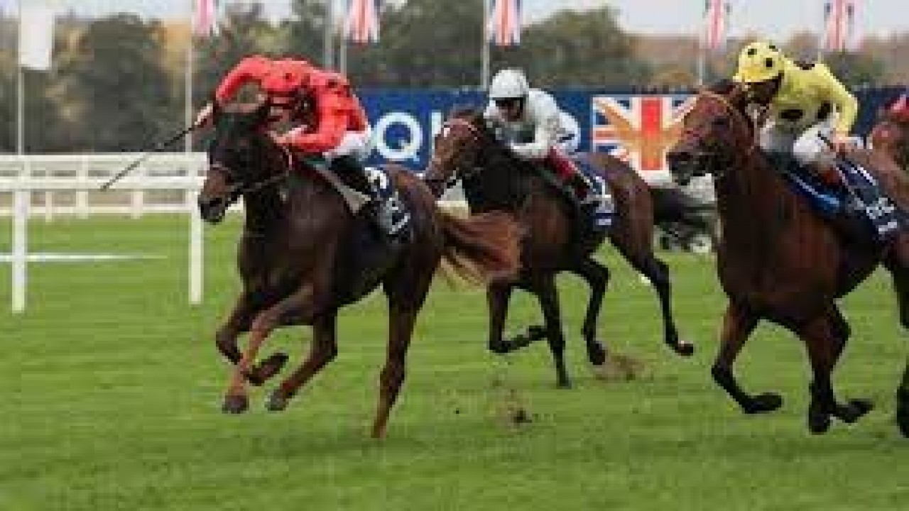 Preview:Gr.1 Queen Anne Stakes Image 4