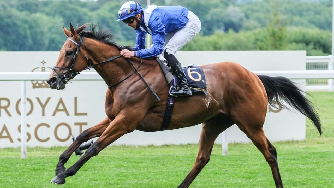 Preview: Gr.1 Prince of Wales’s Stakes Image 1