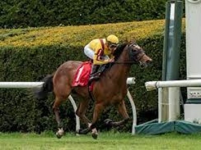 Preview: Gr.2 Queen Mary Stakes Image 1