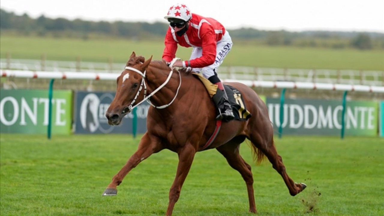 Preview: Gr.2 Duke of Cambridge Stakes Image 1