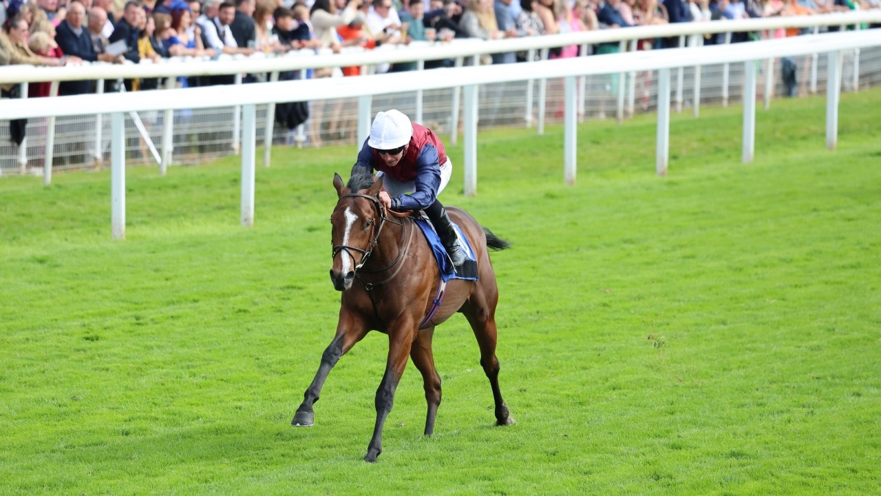 Review: Gr.1 Coventry Stakes Image 1