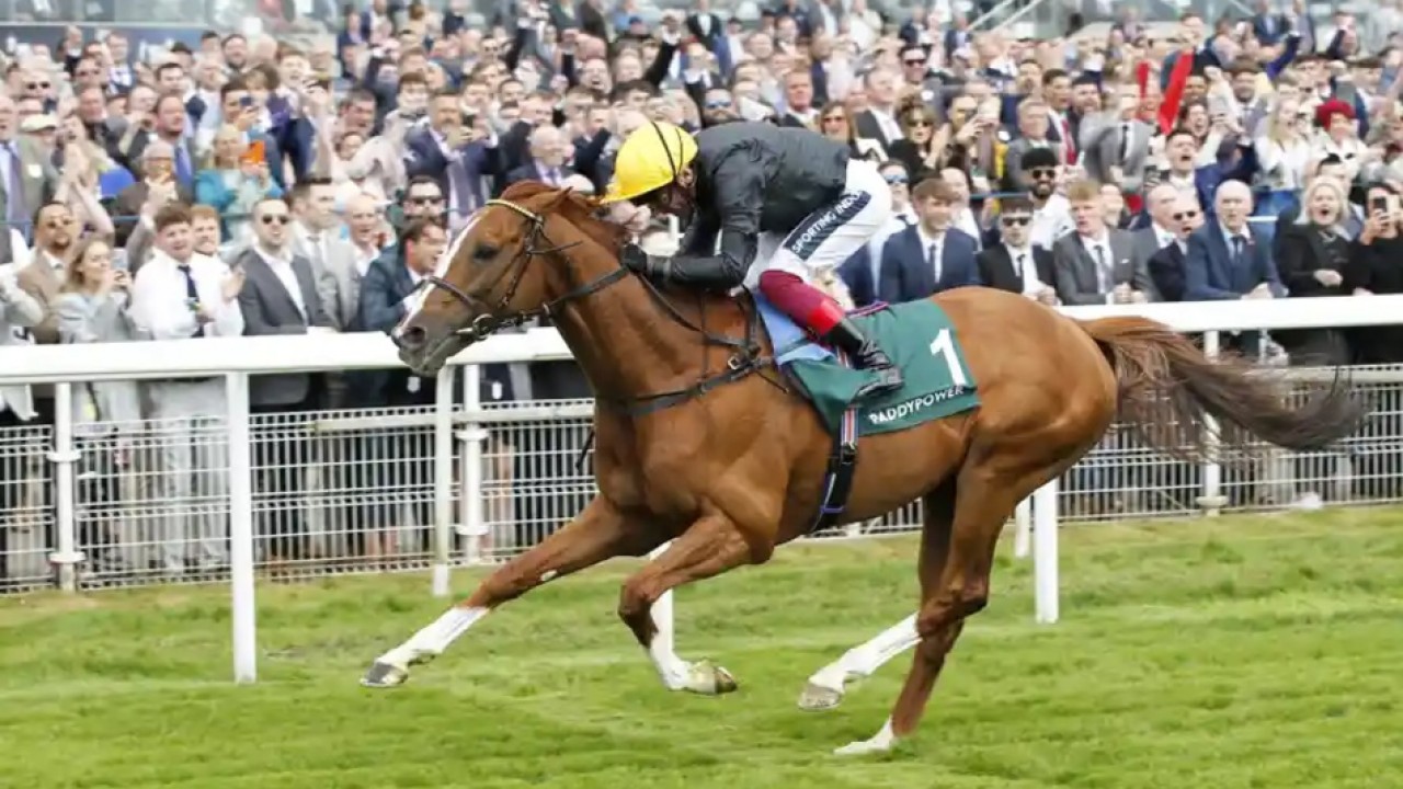 Preview: Gr.1 Royal Ascot Gold Cup Image 1