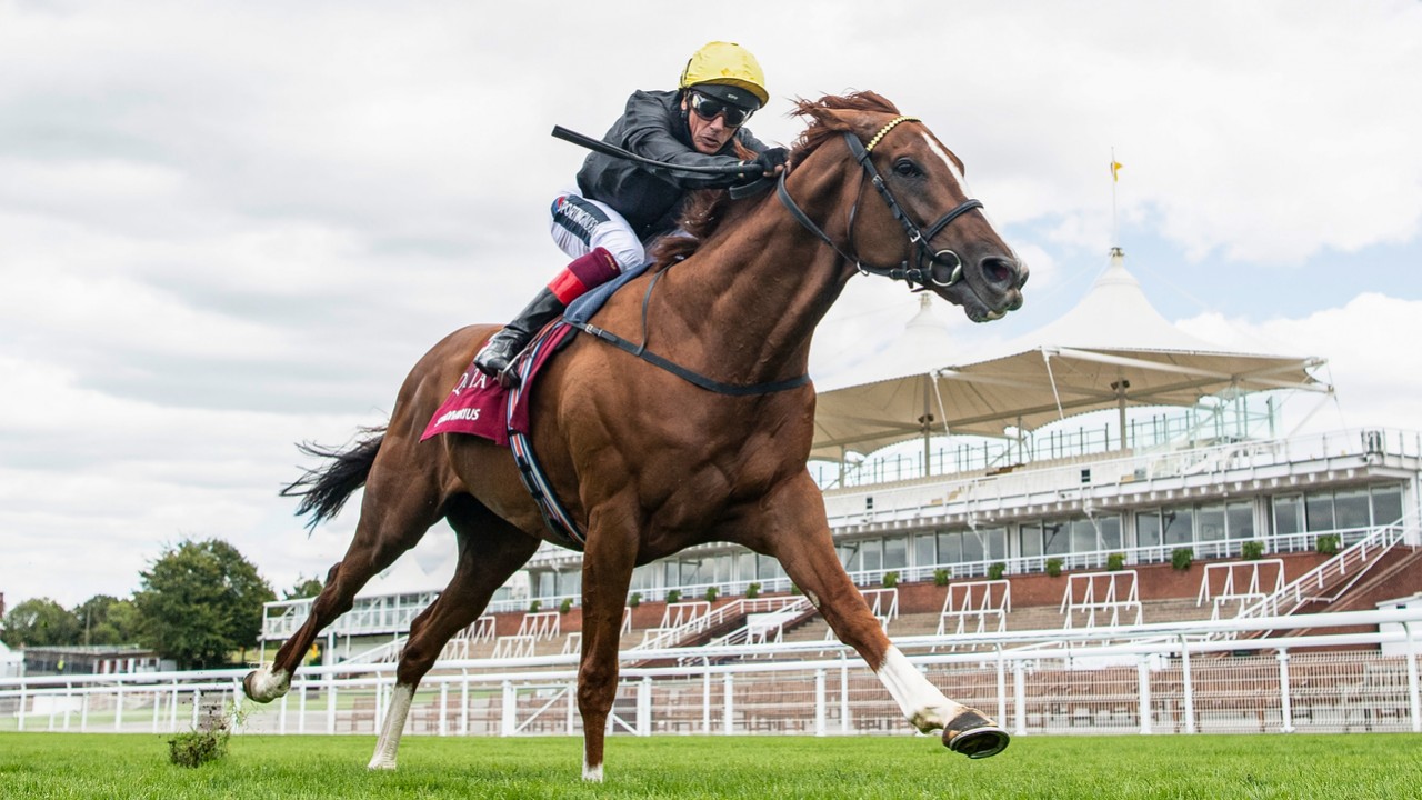 Stradivarius To Stud After Royal Ascot Gold Cup?? Image 1