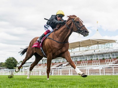 Stradivarius To Stud After Royal Ascot Gold Cup??