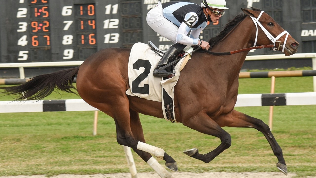 Mo Donegal Provides Todd Pletcher With Fourth Gr.1 Br.1 Belm ... Image 2