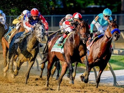Early Voting and Zandon Prepare For Jim Dandy Under Chad ... Image 1