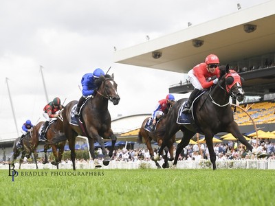 Everest Contenders Trial In Style Image 1