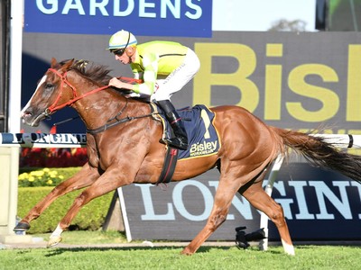 Concorde Stakes An Everest Pointer Image 1