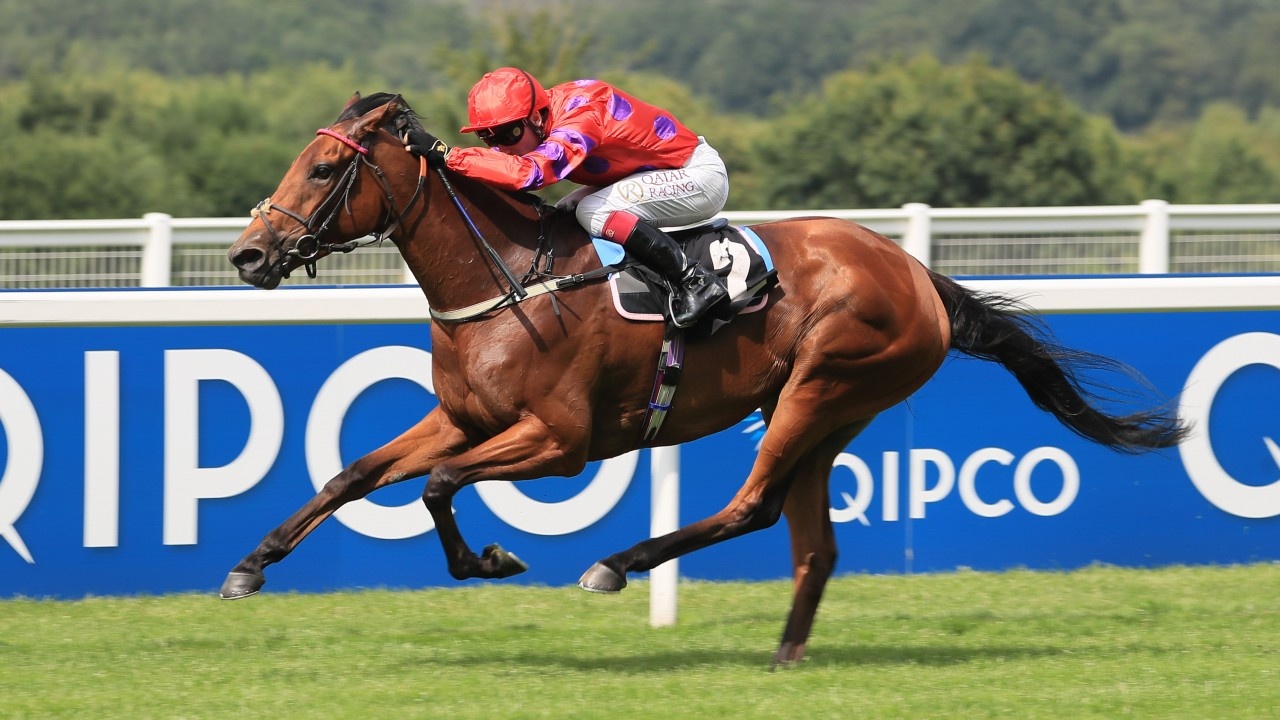 Dreamloper Wins Gr.1 Prix Moulin Victory While Coroebus ... Image 1