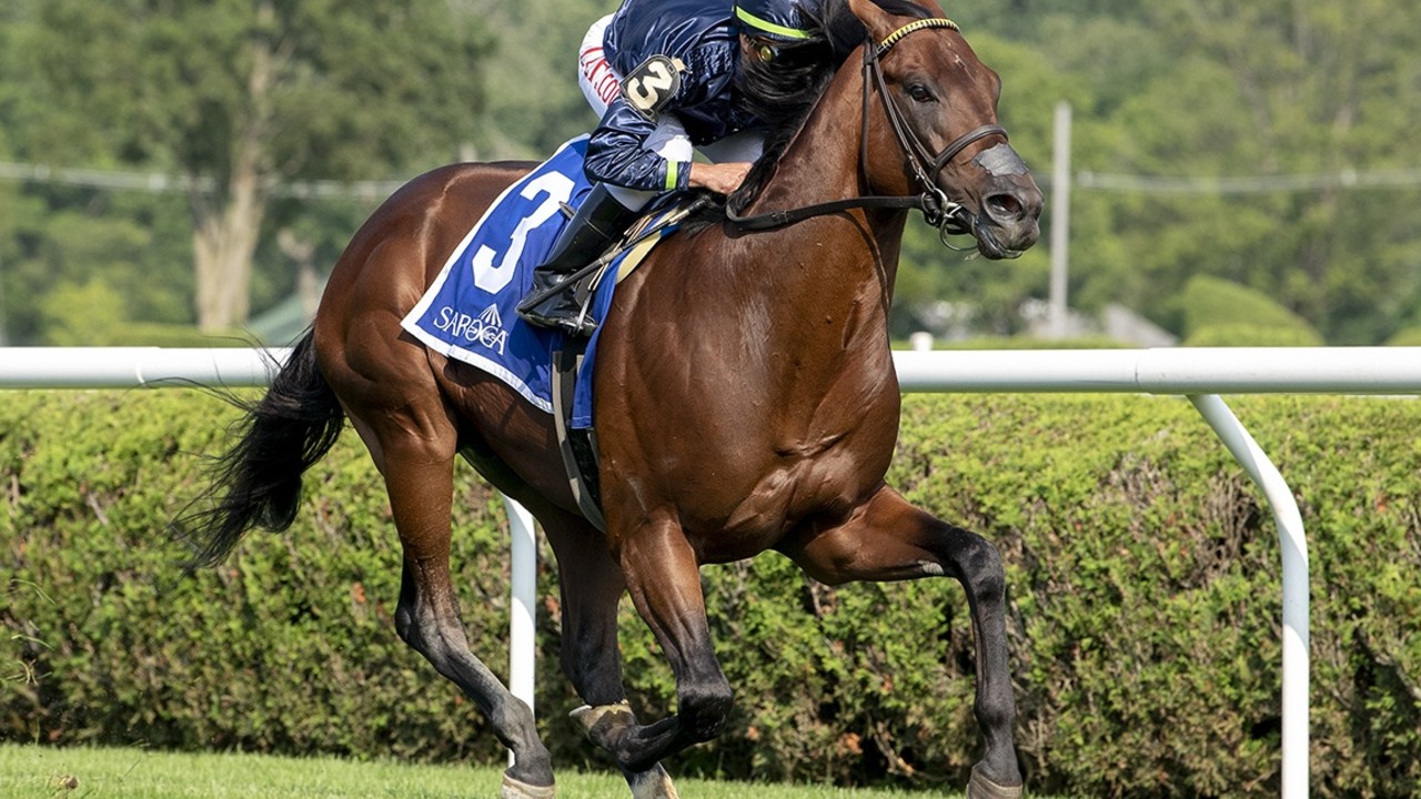 Turf Specialist Golden Pal May Switch Grounds Image 2