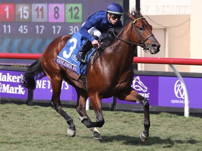 Turf Specialist Golden Pal May Switch Grounds Image 1
