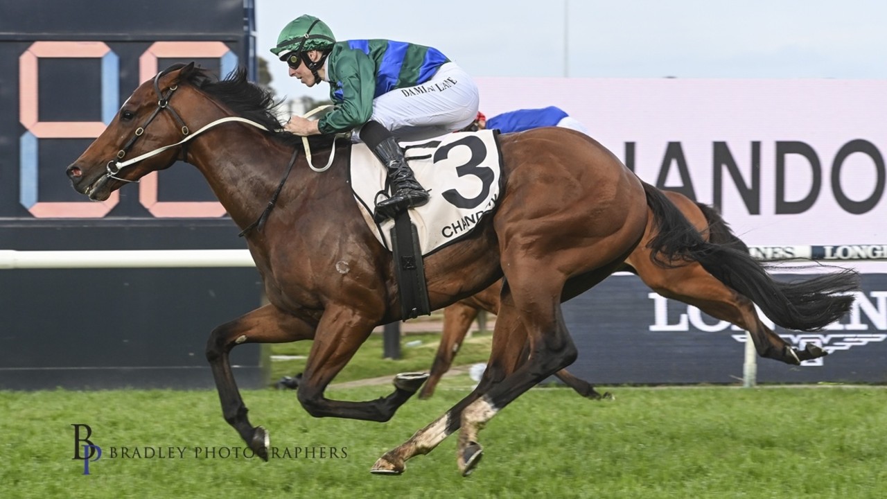 Group 1 Caulfield Guineas Or $15m Everest?? Image 1