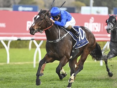 Zapateo in the Godolphin 'mix' Image 1