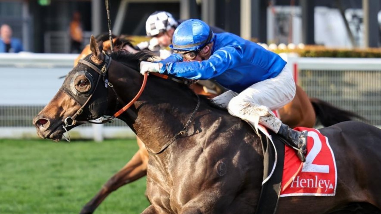 Godolphin’s slot in The Everest to Ingratiating Image 1