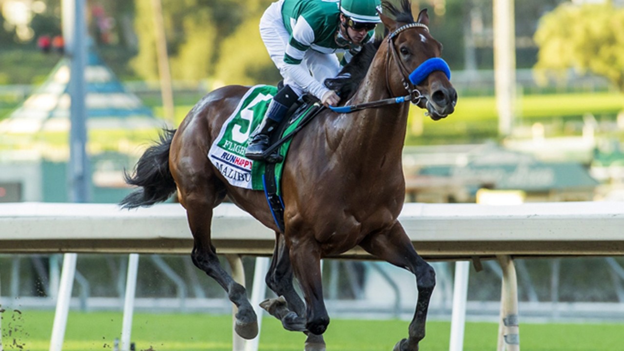 The 2022 Breeders' Cup Classic was another easy victory for ... Image 1