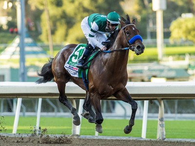 The 2022 Breeders' Cup Classic was another easy victory for ... Image 1