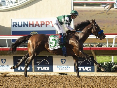 After his retirement, Flightline moved to Lane's End Farm Image 1