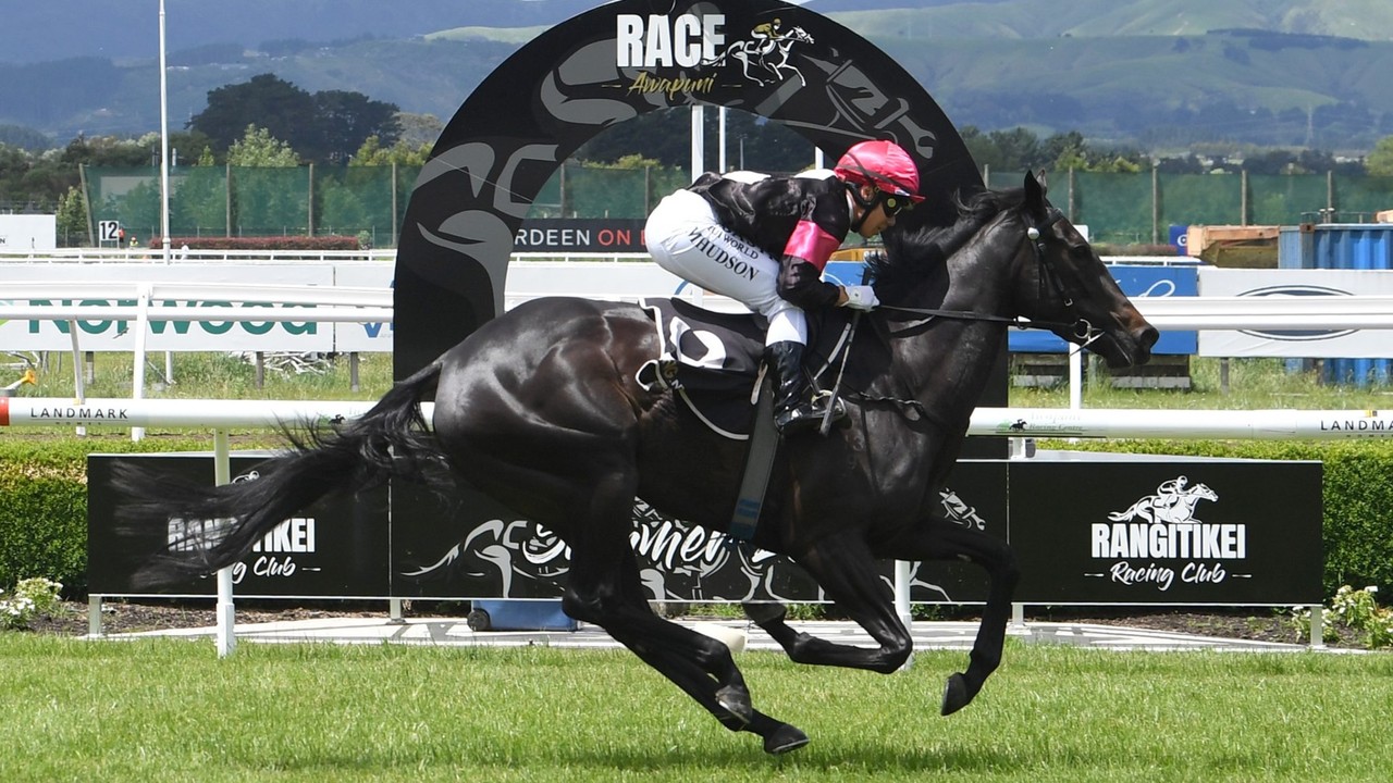 Patterson Unearths Rising Star Terziere a 3YO filly Image 1