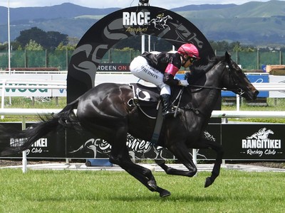 Patterson Unearths Rising Star Terziere a 3YO filly Image 1