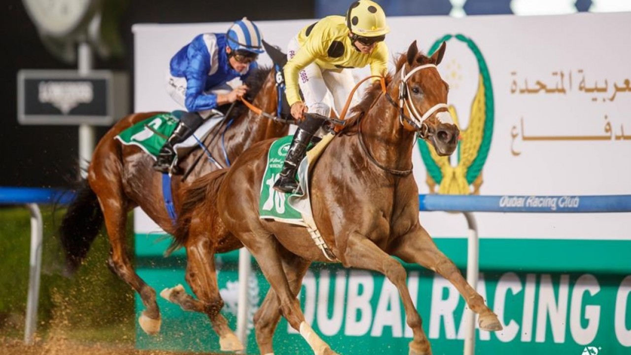 Dobbs and Watson Double Delivered In Meydan Image 1