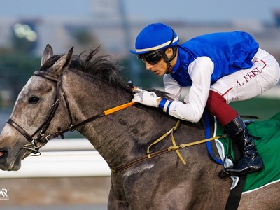 Abu Dhabi Proves A Win Is A Win: Eleven Lengths Or The Tip ... Image 1