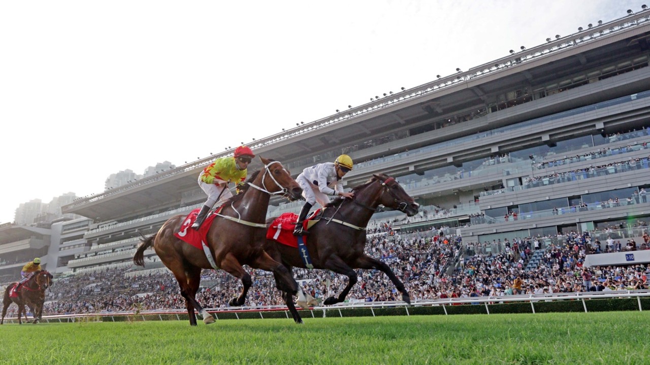 Hong Kong Mile is Champion’s To Lose Image 1