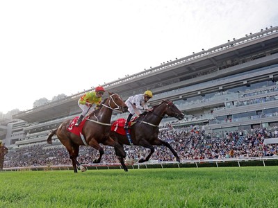 Hong Kong Mile is Champion’s To Lose Image 1