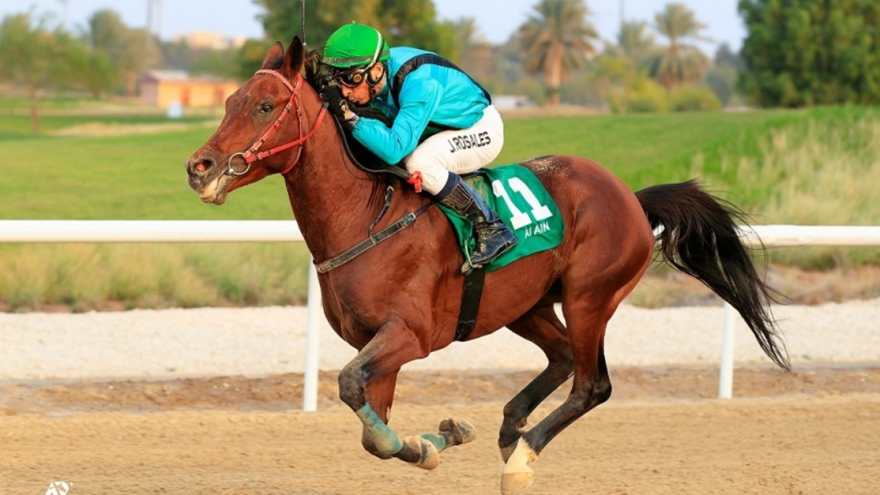 Al Neyadi Cracks Ten For Season At Al Ain Image 1