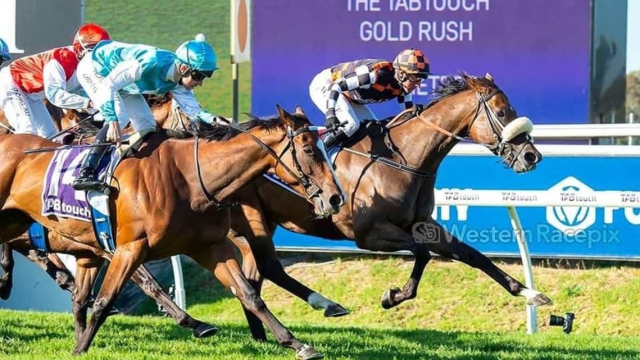 The Astrologist Grabs Glory In Godolphin’s Rush For Gold Image 1