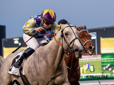 DWC Nominations Attract Global Flavour And Returning Names Image 1