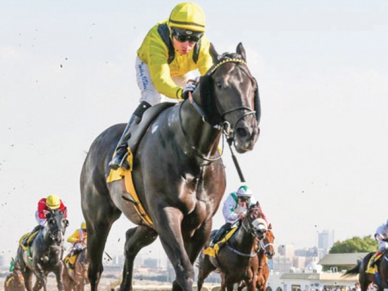 Boerhan Wins Sole Thoroughbred Feature In Abu Dhabi Image 1