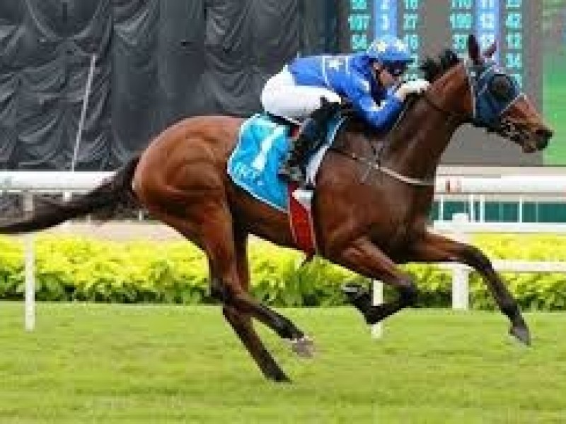 Boerhan Wins Sole Thoroughbred Feature In Abu Dhabi Image 2
